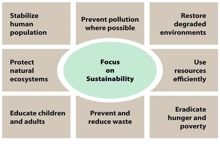 Focus on Sustainability diagram