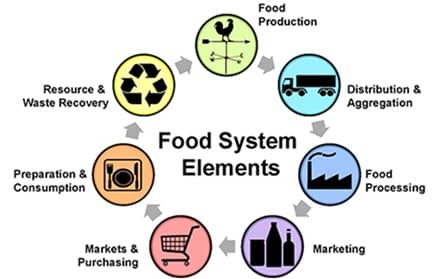 diagram food system