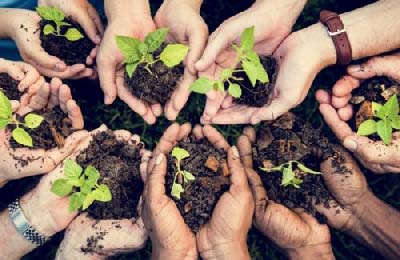 hands holding plants