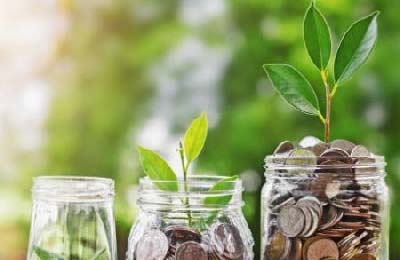 seedlings in jars of coins