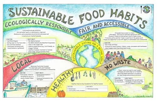 diagram-sustainable-food-habits