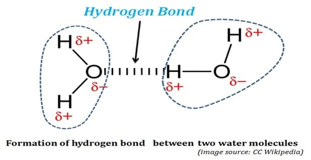 hydrogen bonding diagram