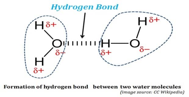 hydrogen bonding diagram